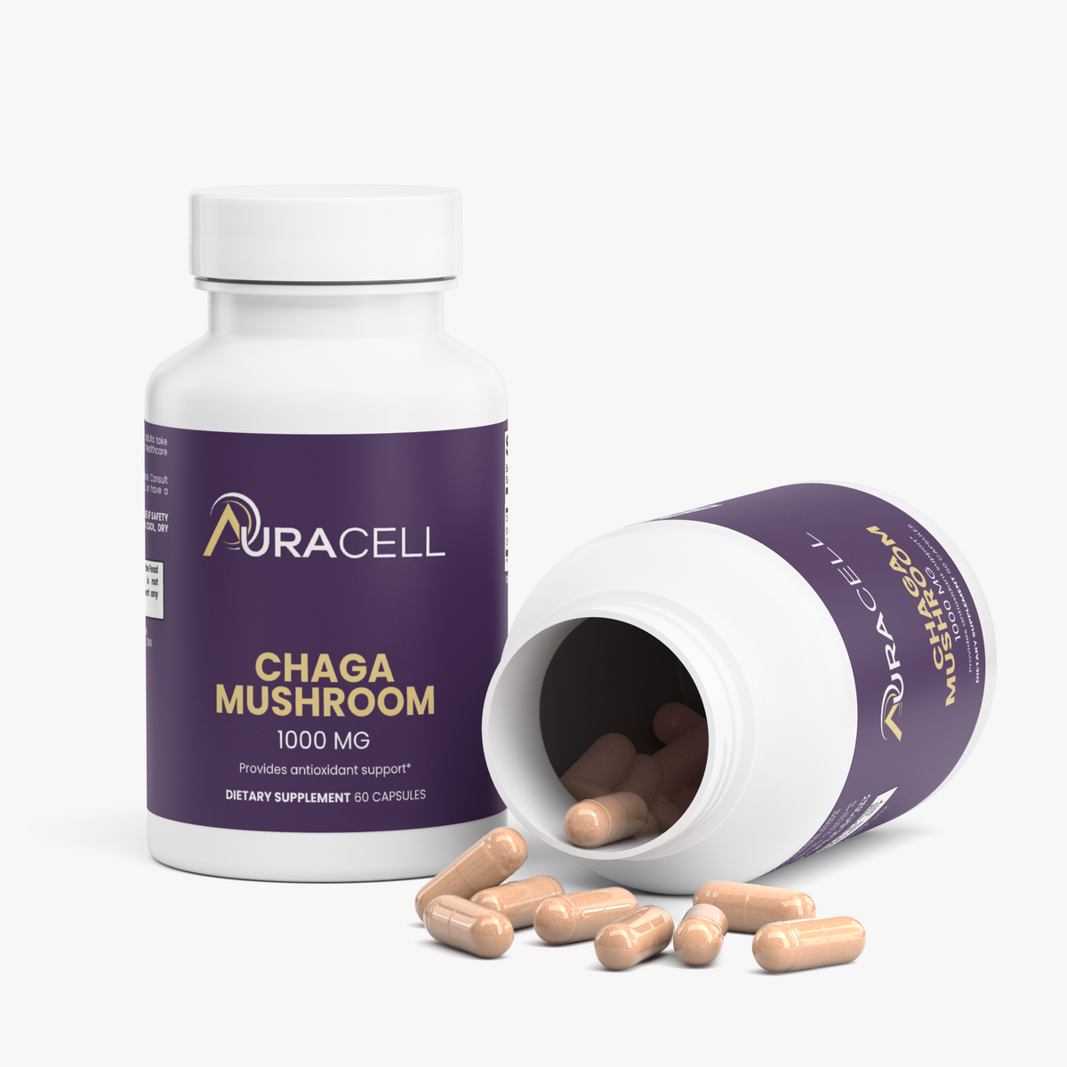 Chaga Mushroom