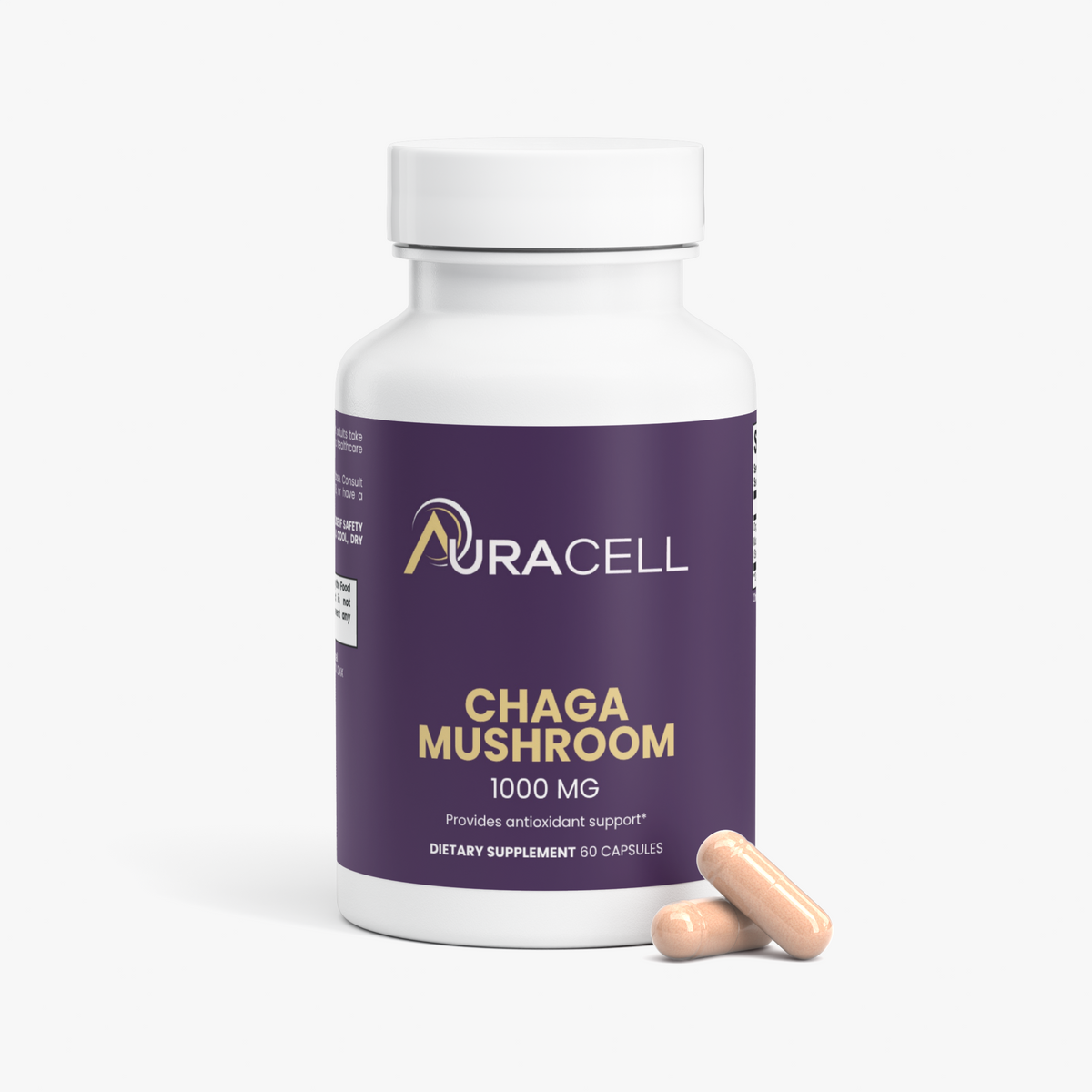 Chaga Mushroom